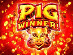 Pig Winner